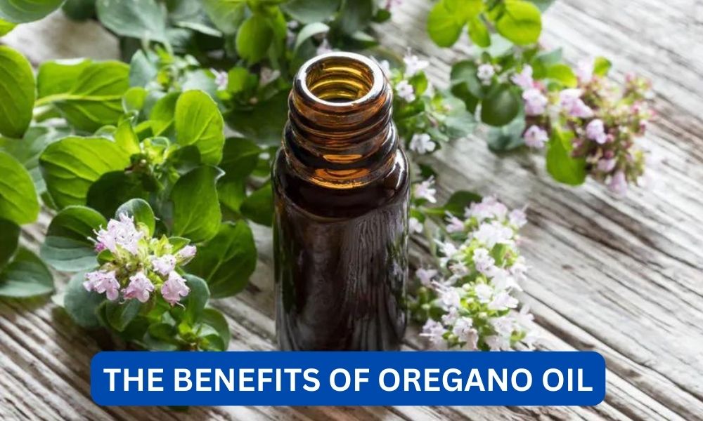 What are the benefits of oregano oil
