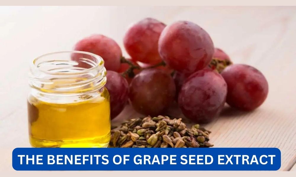 What are the benefits of grape seed extract