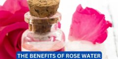 What are the benefits of rose water?