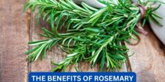 What are the benefits of rosemary?