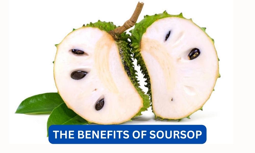 What are the benefits of soursop?