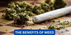 What are the benefits of weed?