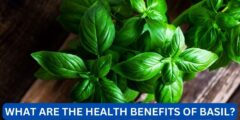 What are the health benefits of basil?