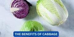 What are the health benefits of cabbage?