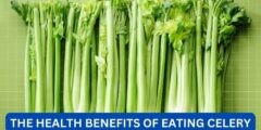 What are the health benefits of eating celery?