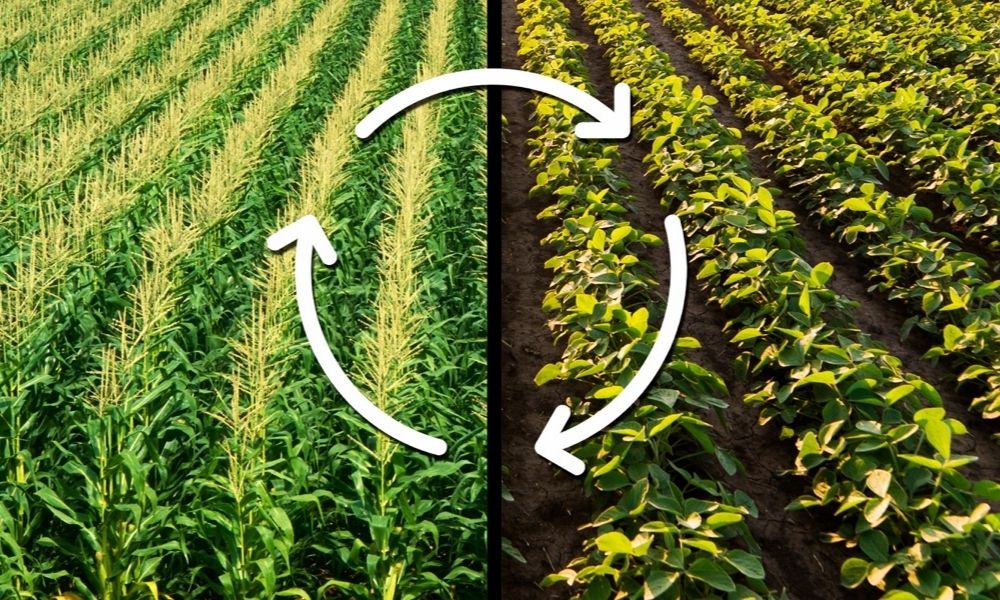 Which of the following is a benefit of crop rotation?