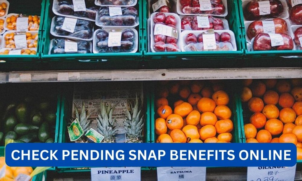 how to check pending snap benefits online