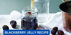 how to make blackberry jelly recipe