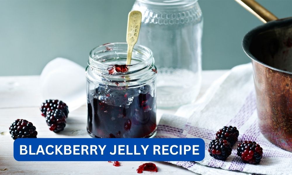 how to make blackberry jelly recipe