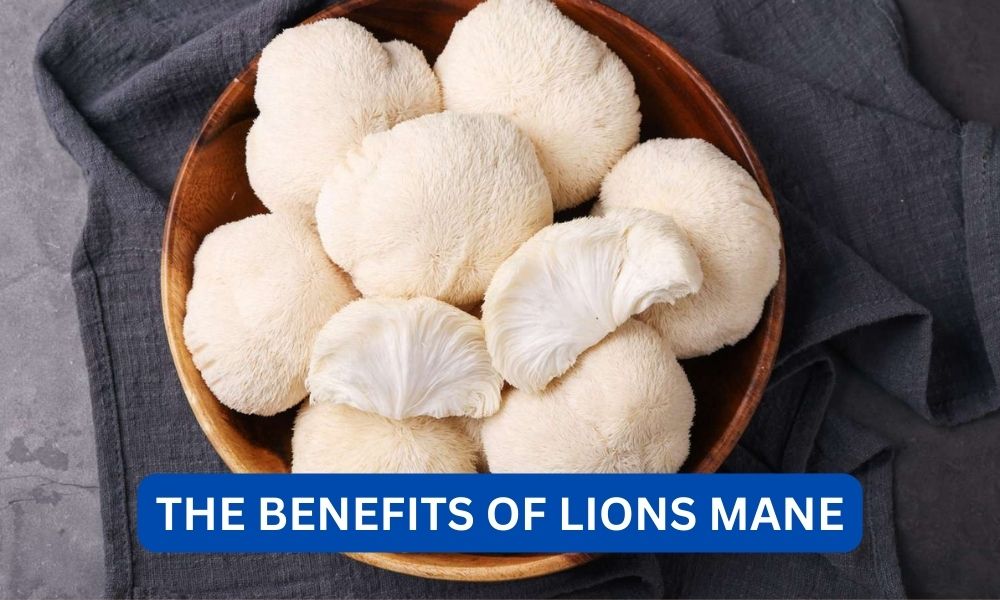 what are the benefits of lions mane