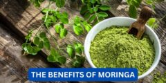 what are the benefits of moringa