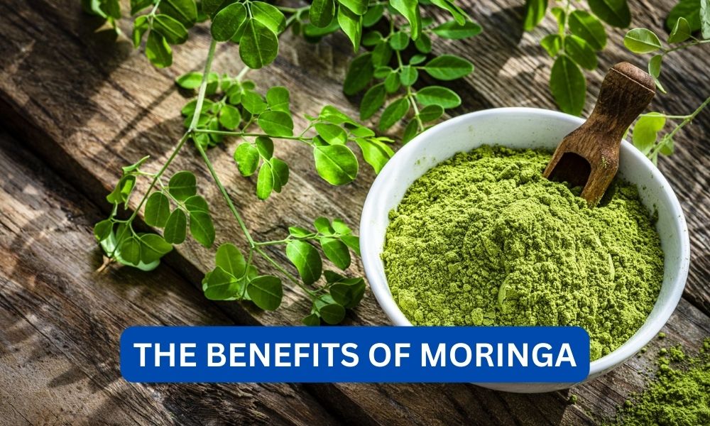 what are the benefits of moringa
