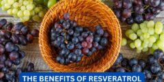 what are the benefits of resveratrol