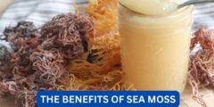 what are the benefits of sea moss