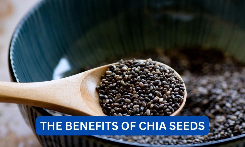 what is the benefit of chia seeds