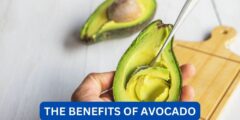 what's the benefits of avocado